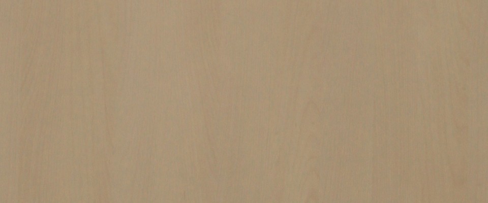 Design :3015 Snow Beech (TDL)
