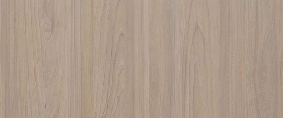 Design: 3331 Virgin Elm (CHW)